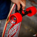 Longboard Santa Cruz Amoeba Pintail Cruzer 9.58 x 39.0"