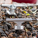 Trucks ACE Classic Polished