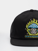 Gorra Spitfire Mushroom Bighead