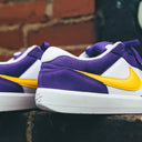 Tenis Nike SB Force 58 Court Purple