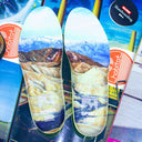 Tenis Globe Los Angered ll