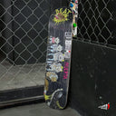 Tabla Beat Huerta Metamorfosis Assorted