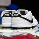 Tenis Nike SB Dunk Low Pro White And Black