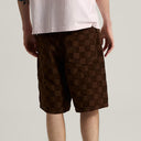 Short Vans Check 5 Baggy Checker Brown