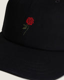 Gorra Vans Call It A Day Curved Bi Black