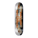 Tabla DGK Evolution