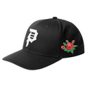 Gorra Primitive Colorado Black Snapback