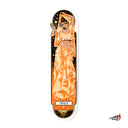 Tabla Birdhouse Divine Aura Jaws