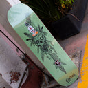 Tabla Tricolor x Cardiel The Band Green
