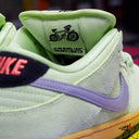 Tenis Nike SB Dunk Verdugo Mountain