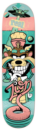 Tabla Real D Face Zion Wright